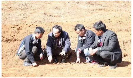 耿福能在涼山州布拖縣樂安鄉(xiāng)火燈村調(diào)研指導附子種植